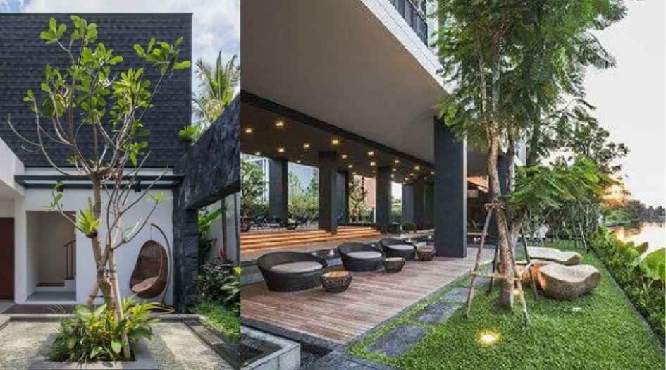 32-Elements-Amenities-Focal-tree-&-Lawn-Area